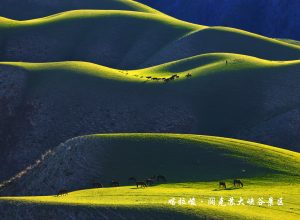 Northern Xinjiang classic itinerary 12 days tour